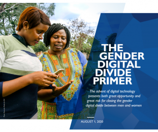 genderdigitaldivide